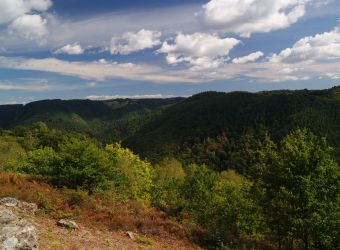 Photo XAINTRIE ET GORGES DE LA DORDOGNE