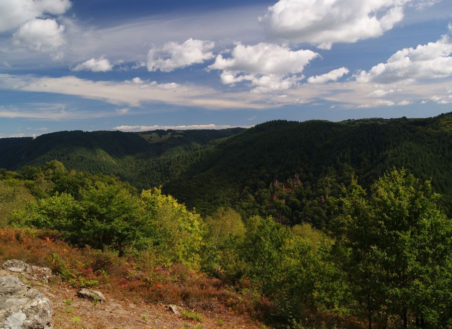 Photo de paysage de la Xaintrie noire en Corrèze, Glaurent - Wikimedia Commons - CC BY 3-0