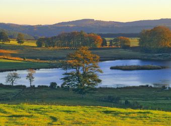 Photo PARC NATUREL REGIONAL DE MILLEVACHES EN LIMOUSIN