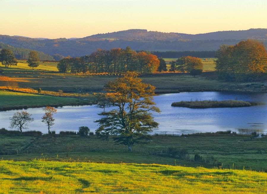 Photo de l'étang des Oussines sur le plateau de Millevaches, Dominique Robert Repérant - Wikimedia Commons - CC BY-SA 4-0