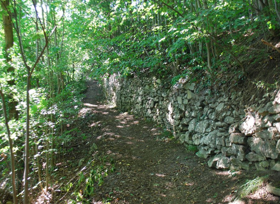 Photo du sentier des roches dans les Vosges, Jean Housen - Wikimedia Commons - CC BY-SA 3-0