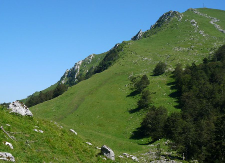 Photo du Signal de Bassia dans les Hautes-Pyrénées (www-coeurdespyrenees-com)