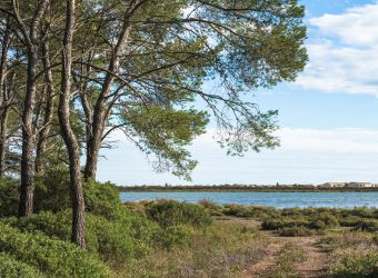 Photo LE BOIS DES ARESQUIERS