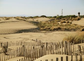 Photo L'ESPIGUETTE, PETITE CAMARGUE