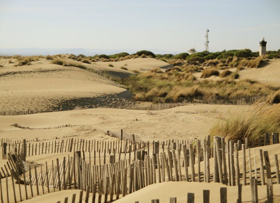 Photo de dunes de sable de l'Espiguette au Grau-d-Roi dans le Gard, Gonedelyon - Wikimedia Commons - CC BY-SA 3-0