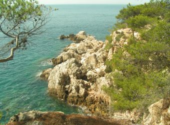 Photo CALANQUE DE PORT D'ALON - LA NARTETTE