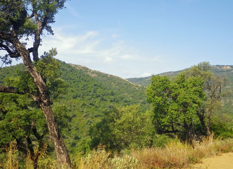 Photo du Massif des Maures dans le var, Bonvol - Wikimedia Commons - CC BY-SA 3-0