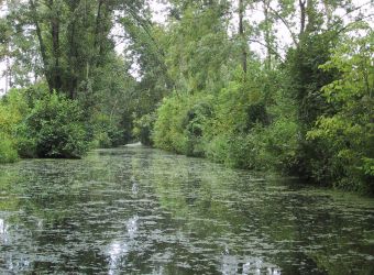 Photo PARC NATUREL REGIONAL DU MARAIS POITEVIN