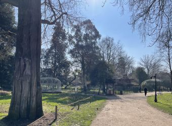 Photo JARDIN BOTANIQUE DE TOURS