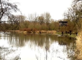 Photo MARAIS DE PERONNE