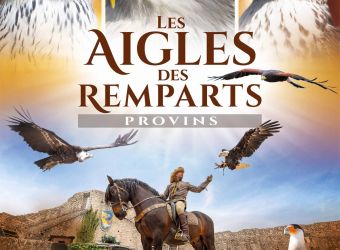 Photo LES AIGLES DES REMPARTS