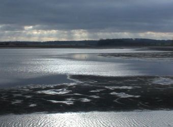 Photo ETANG DE LINDRE