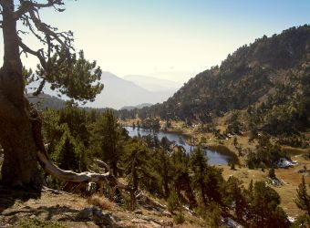 Photo LAC ACHARD