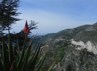 Photo FORT DE LA REVERE - PARC DE LA GRANDE CORNICHE