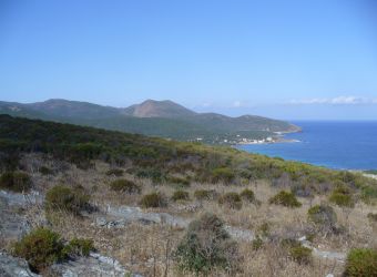 Photo POINTE DU CAP CORSE