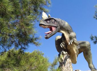 Photo DINOSAUR'ISTRES