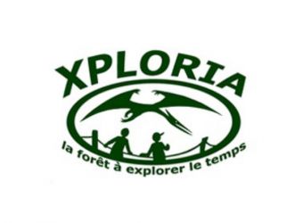 Photo XPLORIA LA FORET A EXPLORER LE TEMPS