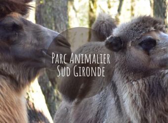 Photo PARC ANIMALIER SUD GIRONDE