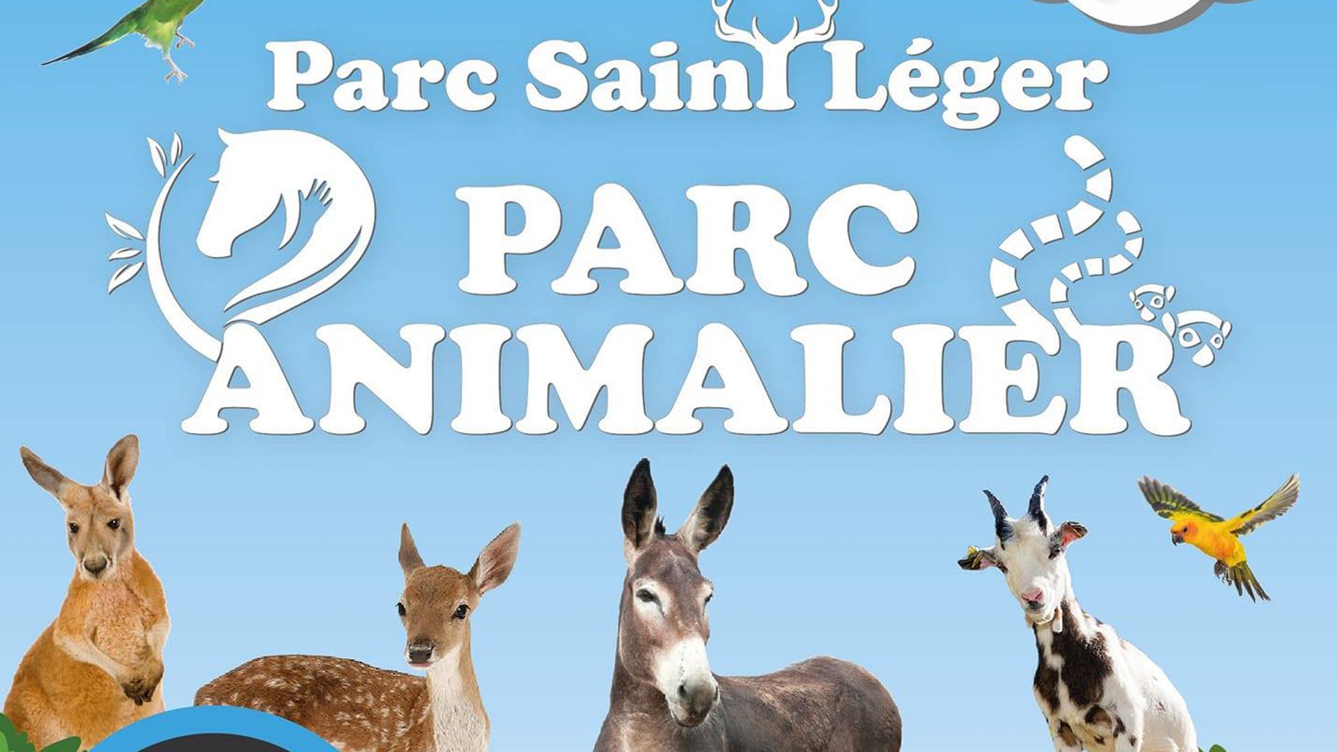 PARC ANIMALIER SAINT LEGER : 2024 horaires, tarifs, animaux à voir