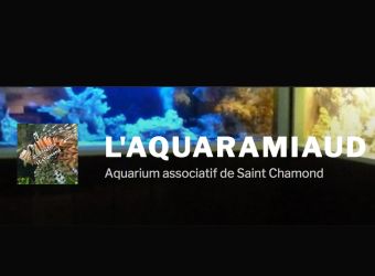 Photo L'AQUARAMIAUD - AQUARIUM ASSOCIATIF DE SAINT-CHAMOND