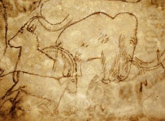 Photo GROTTE DE ROUFFIGNAC - CRO DE GRANVILLE