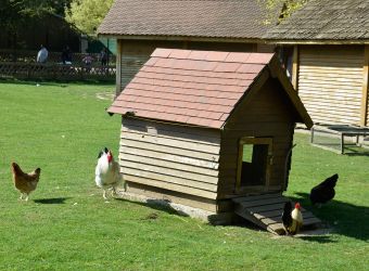 Photo MENAGERIE SAINT-BAUDILE