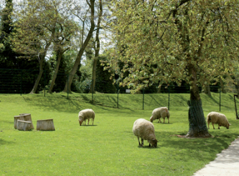 Photo FERME ANIMALIERE DU PARC DES GONDOLES