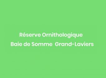 Photo RESERVE ORNITHOLOGIQUE BAIE DE SOMME - GRAND-LAVIERS