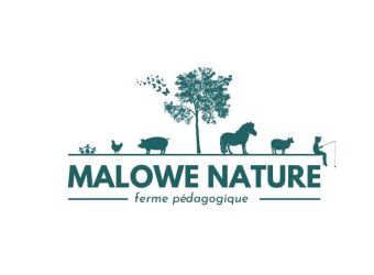 Photo MALOWE NATURE