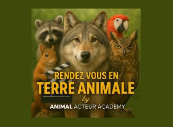 Photo RENDEZ-VOUS EN TERRE ANIMALE