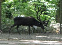  - Image 1
