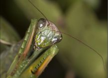  - Image 1