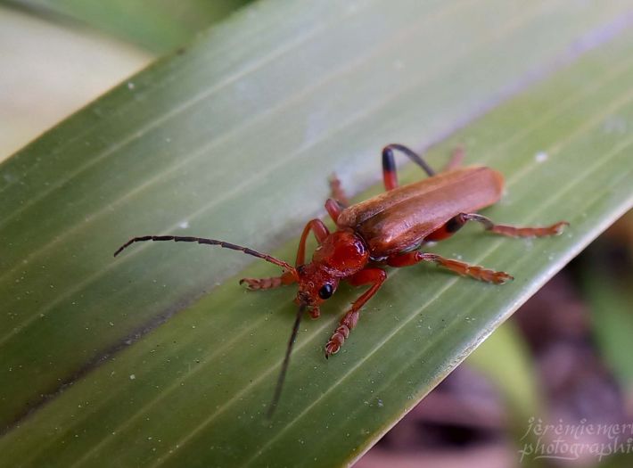  - Image 1