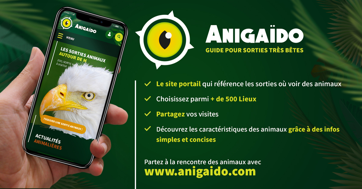 Apprends Le Nom Des Mamans Et Des Bebes Animaux Anigaido Apprends Le Nom Des Mamans Et Des Bebes Animaux Anigaido